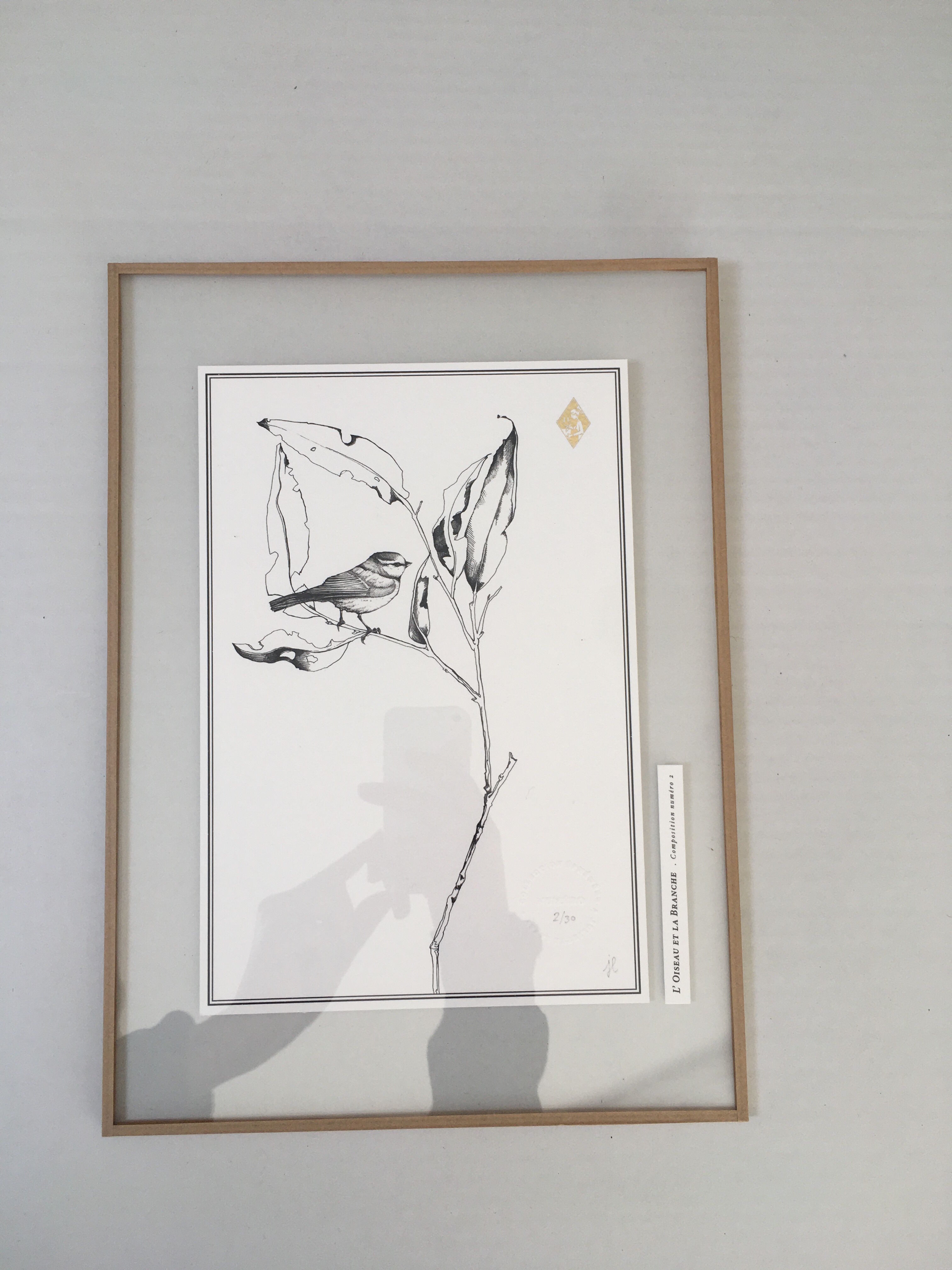 Illustration - l'oiseau et la branche n°2