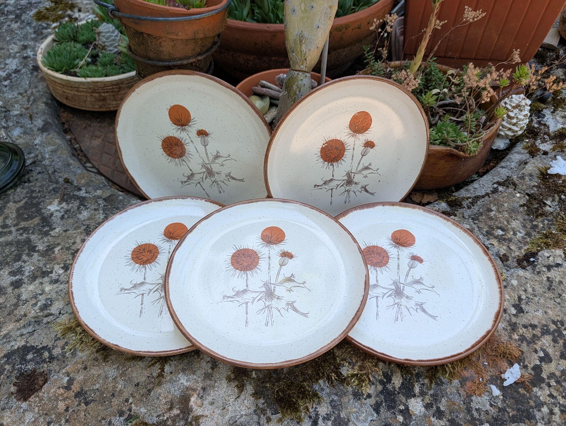 5 flat plates ADP Chardon decor from the 1970s