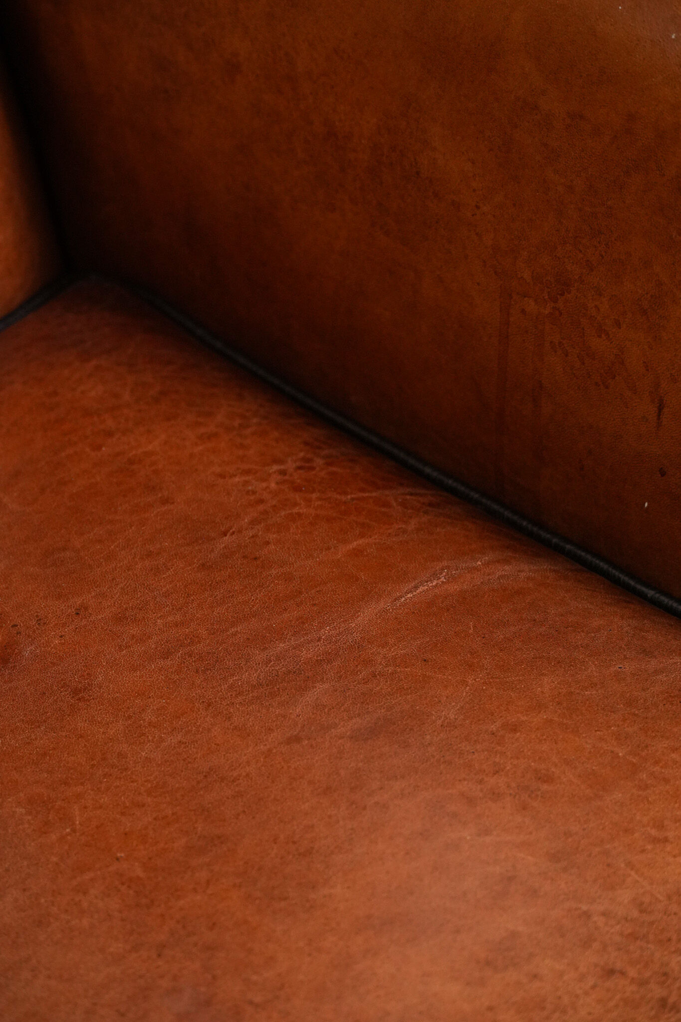 Wingback chair made of sheep leather with black piping in good condition