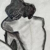 Dessin au fusain signé M Dubois dans cadre doré Représentant une femme nue
