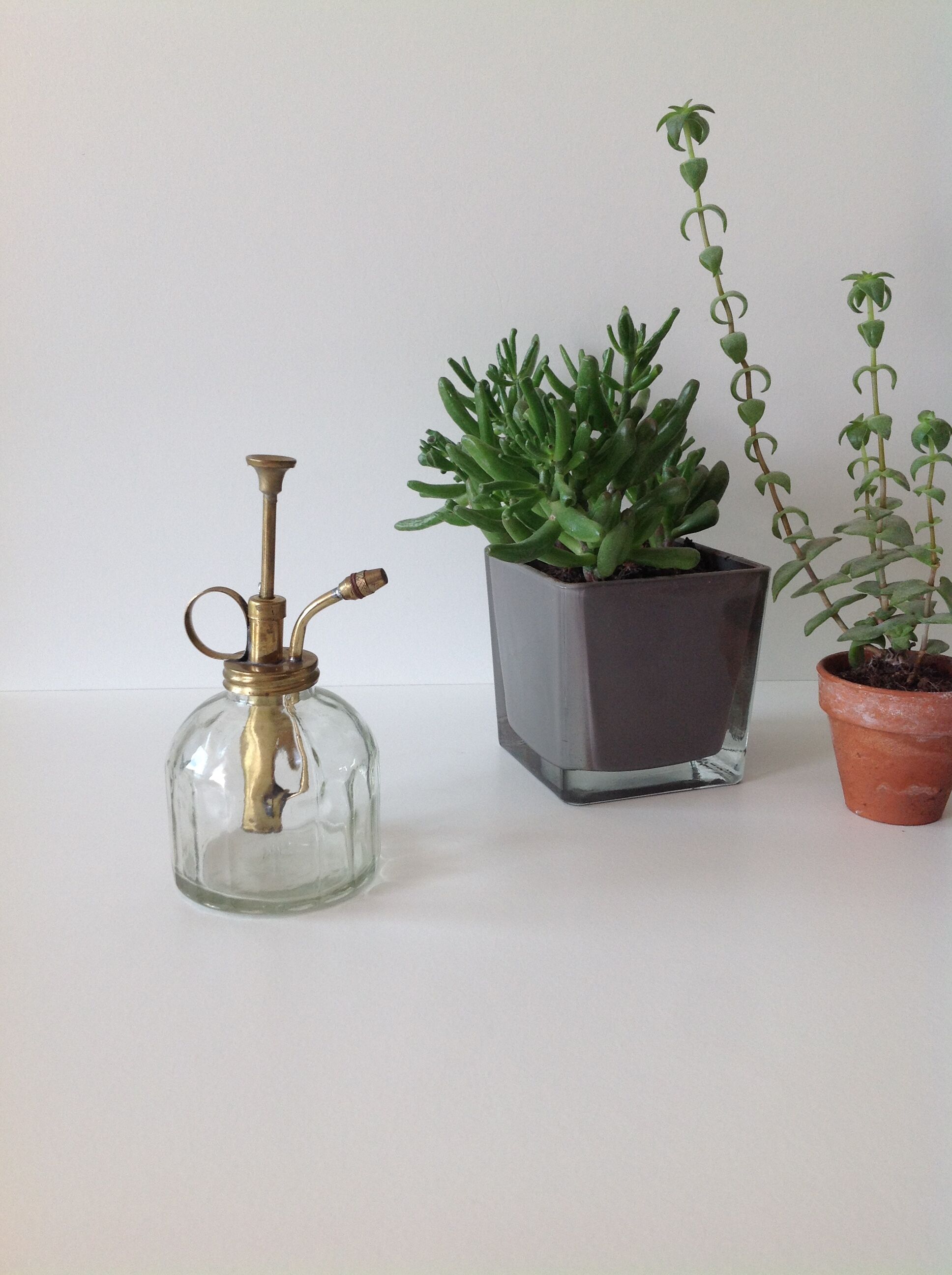 Brumisateur Pour Plantes D Interieur Selency