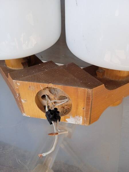 Pair of vintage 1960 wood/glass wall lights