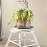 Antique bamboo stool