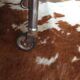 Formica trolley