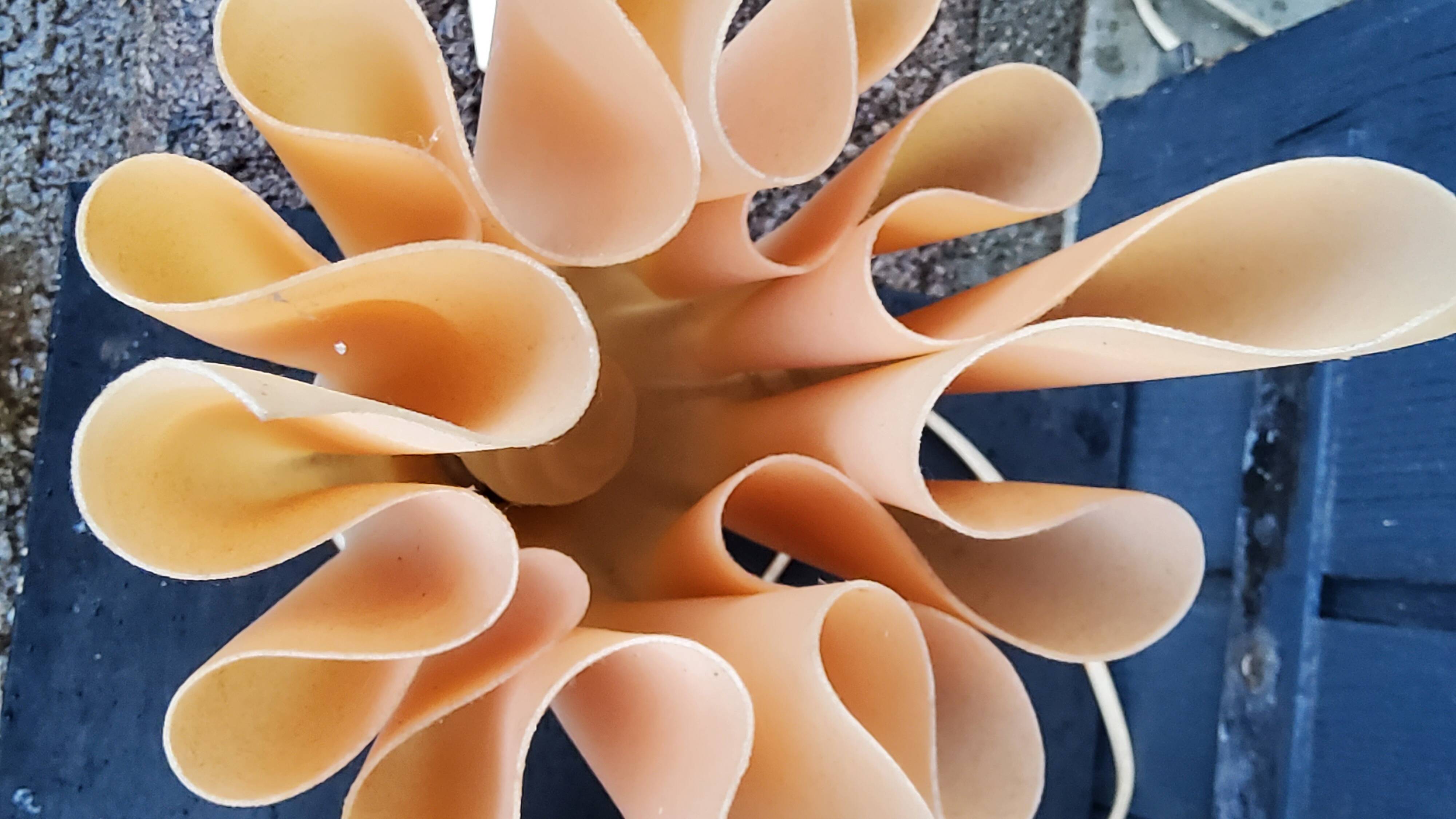 Pair of Ophelie designer lamps by Georgia Jacob