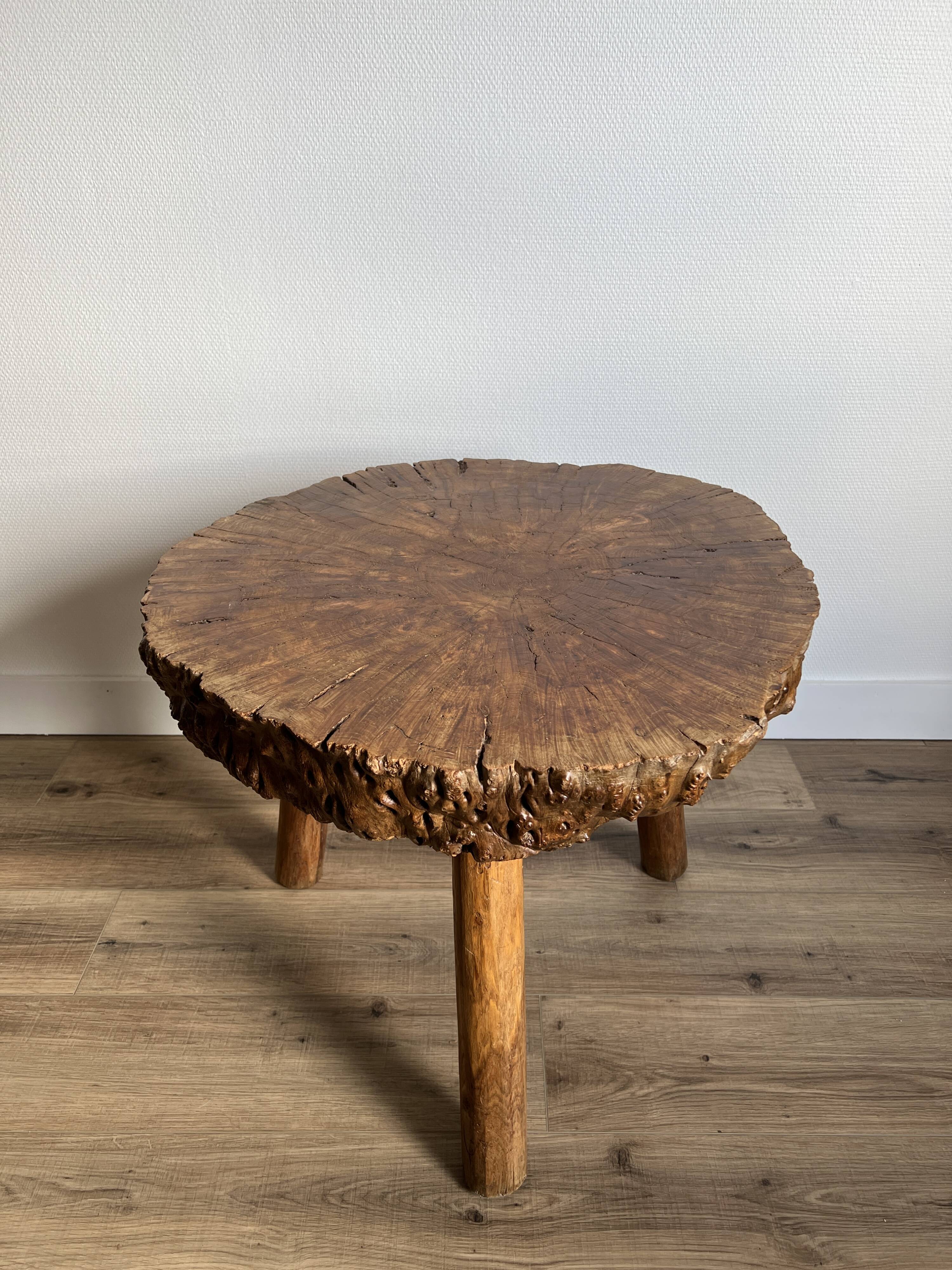 Brutalist tripod coffee table in elm burl, 1950.