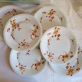 6 Haviland France Limoges Porcelain Dessert Plates