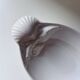 Shell and crustacean catch-all tray