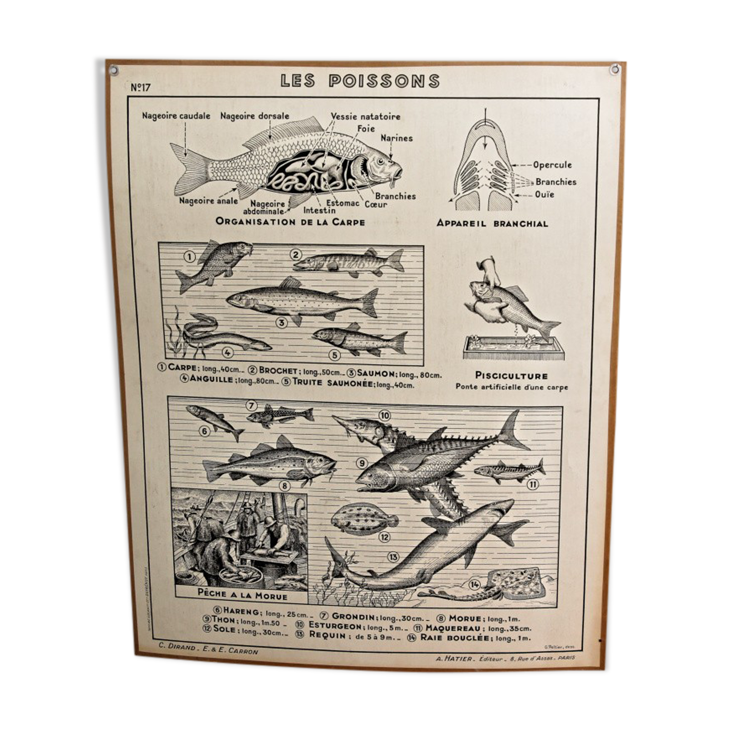 Hatier educational poster 1950