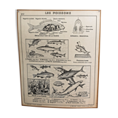 Hatier educational poster 1950