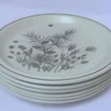 Set of 6 flat english plates