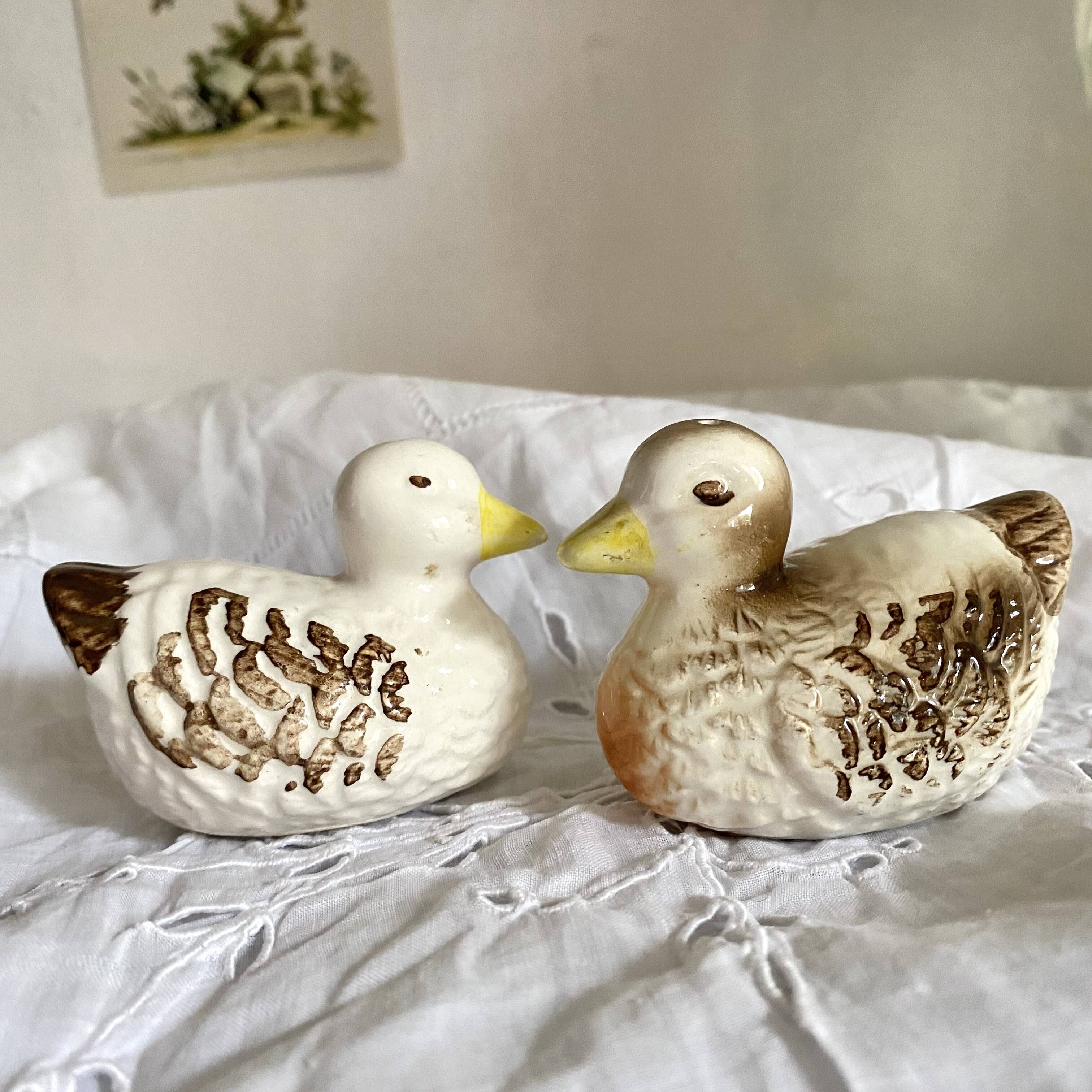 Duck barbotine salt and pepper shaker