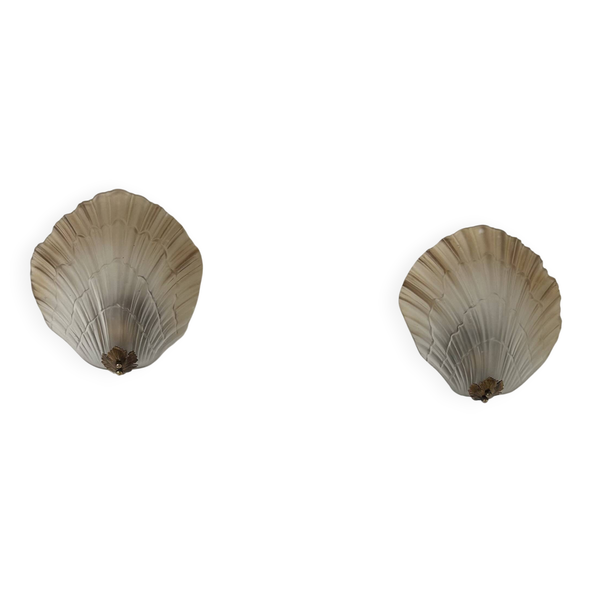Pair of shell wall lights, glass and brass, France 1960