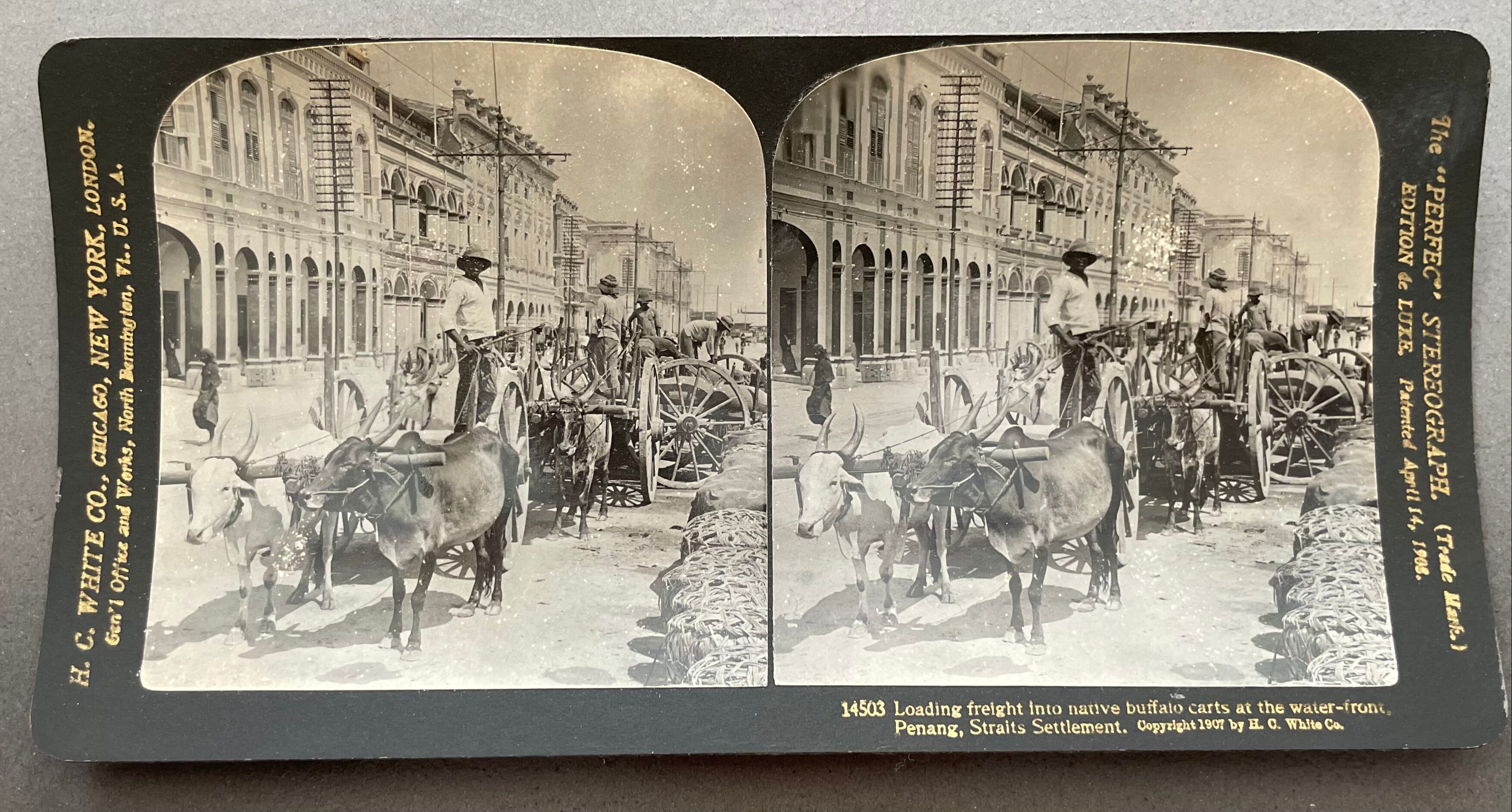 Old photography stereo, stereograph, luxury albumine 1903 quai de Penang