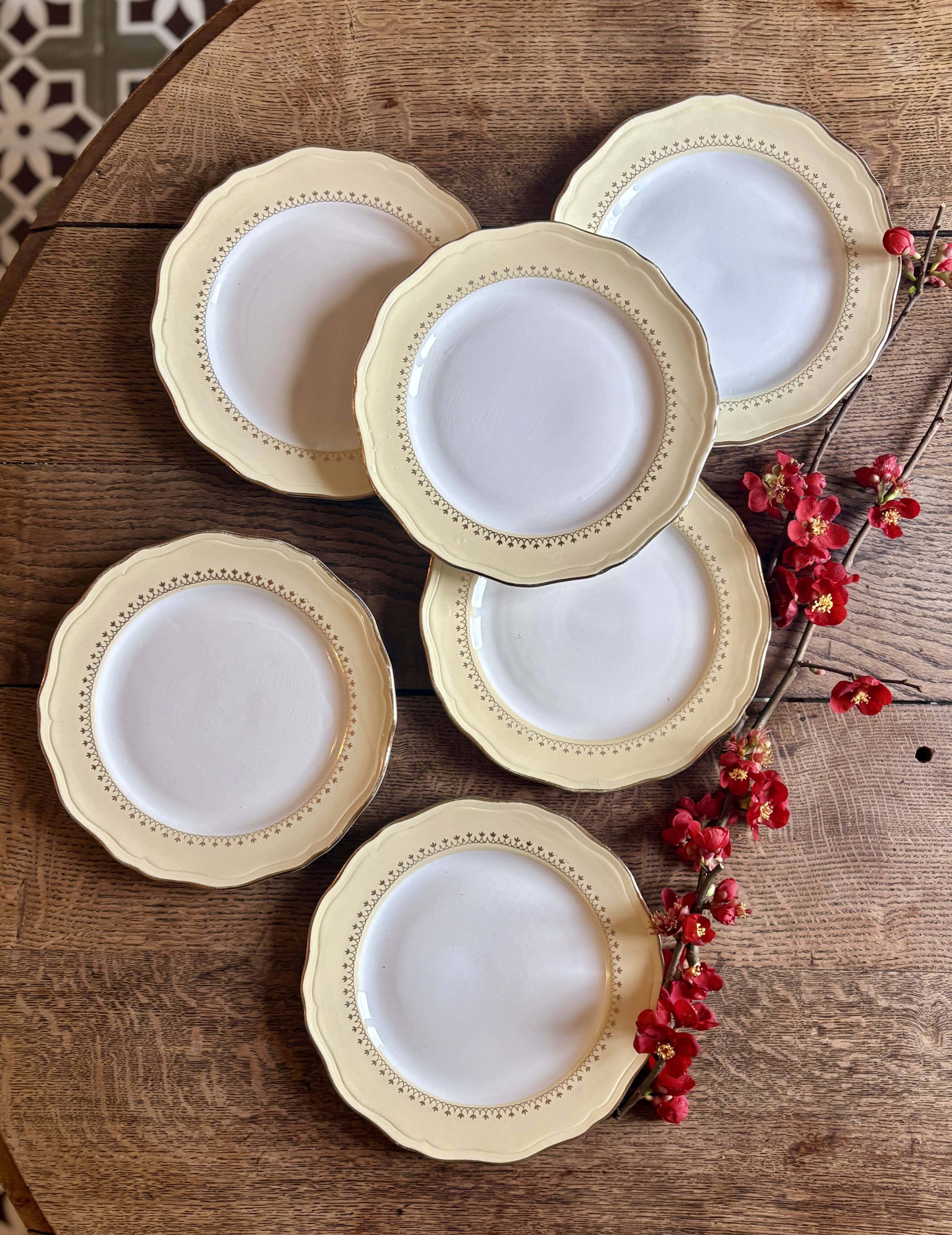 Set of 6 vintage white dinner plates with yellow and gold trim.