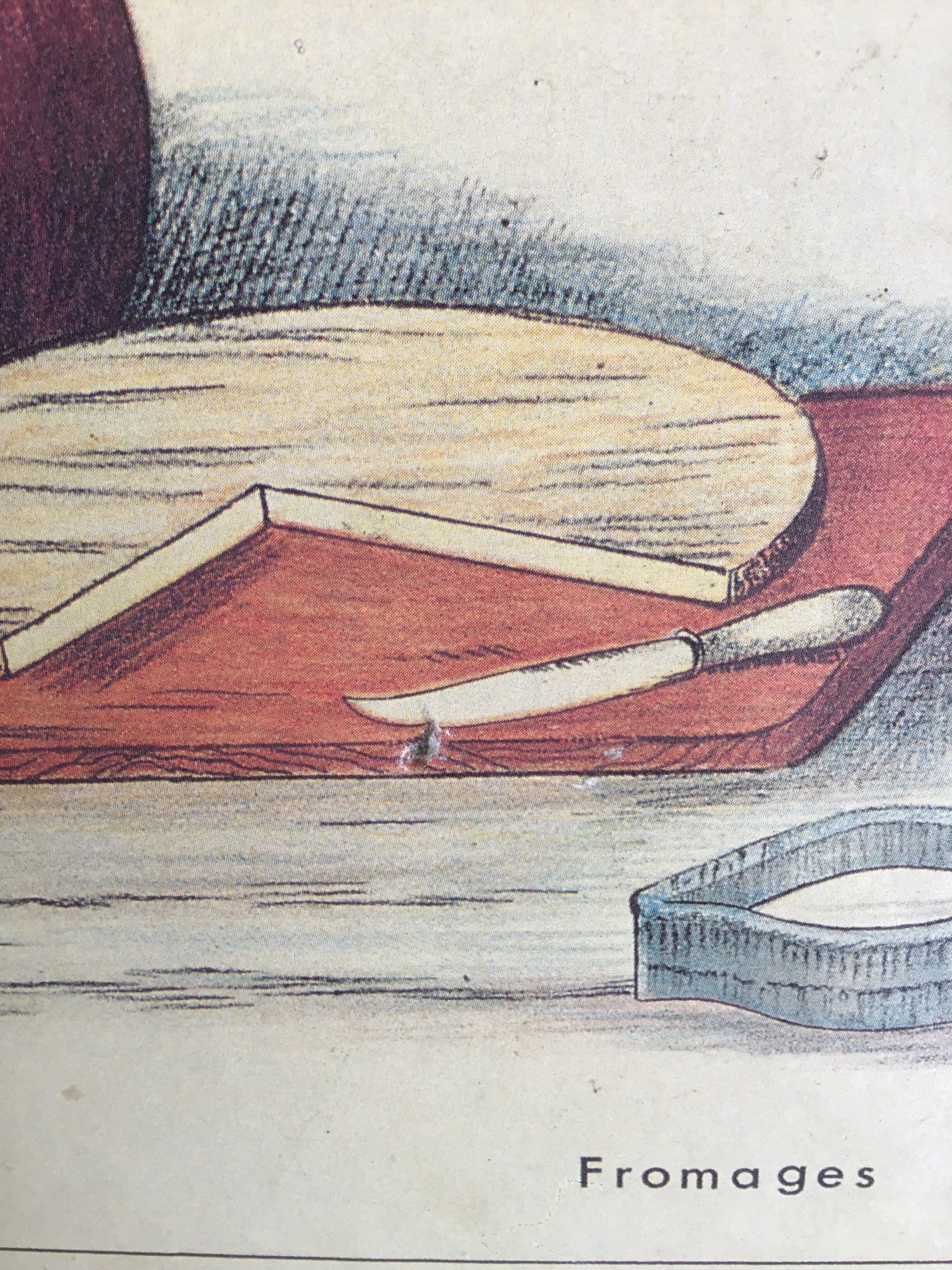 Educational school poster on milk