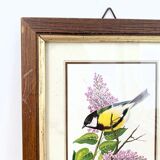 Set of three ornithological frames