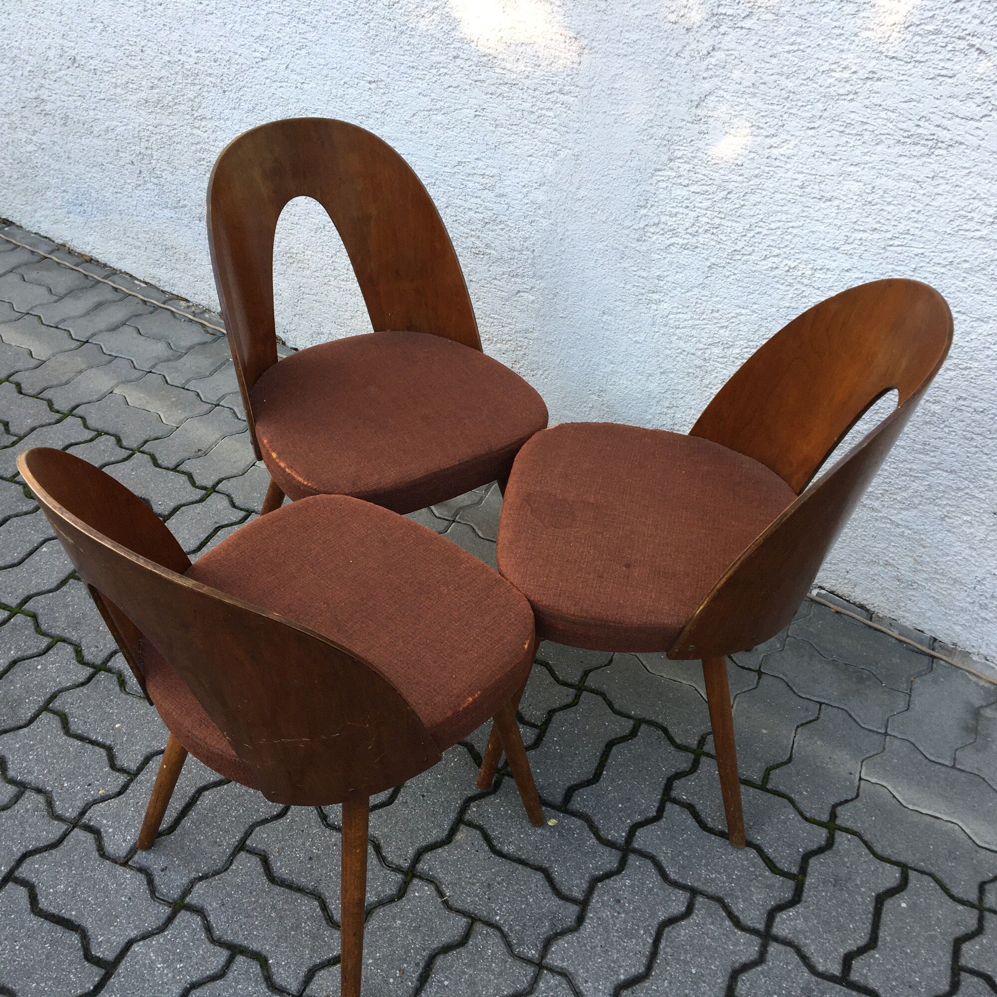 Lot de 3 chaises Lollipop par Antonin Suman, mid century 50s, Tchécoslovaquie