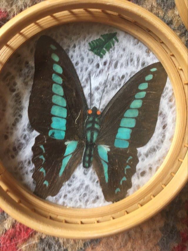 Sub-glasses assorted butterflies in rattan and bamboo .