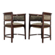 1920s pair of bentwood armchairs, Czechoslovakia