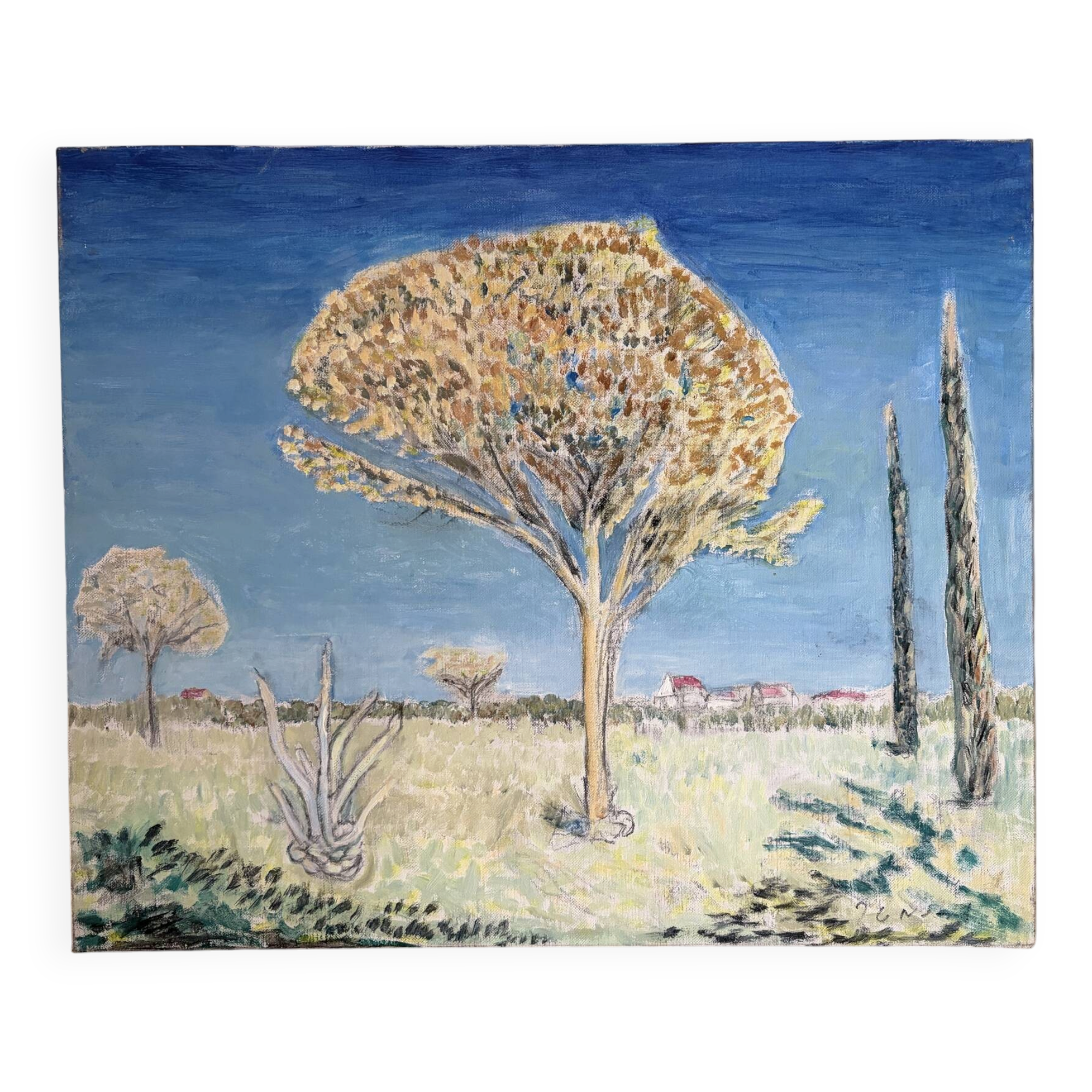 Modern Provence landscape
