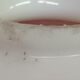 Vintage glass shade
