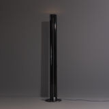 Gianfranco Frattini floor lamp model Megaron Terra for Artemide