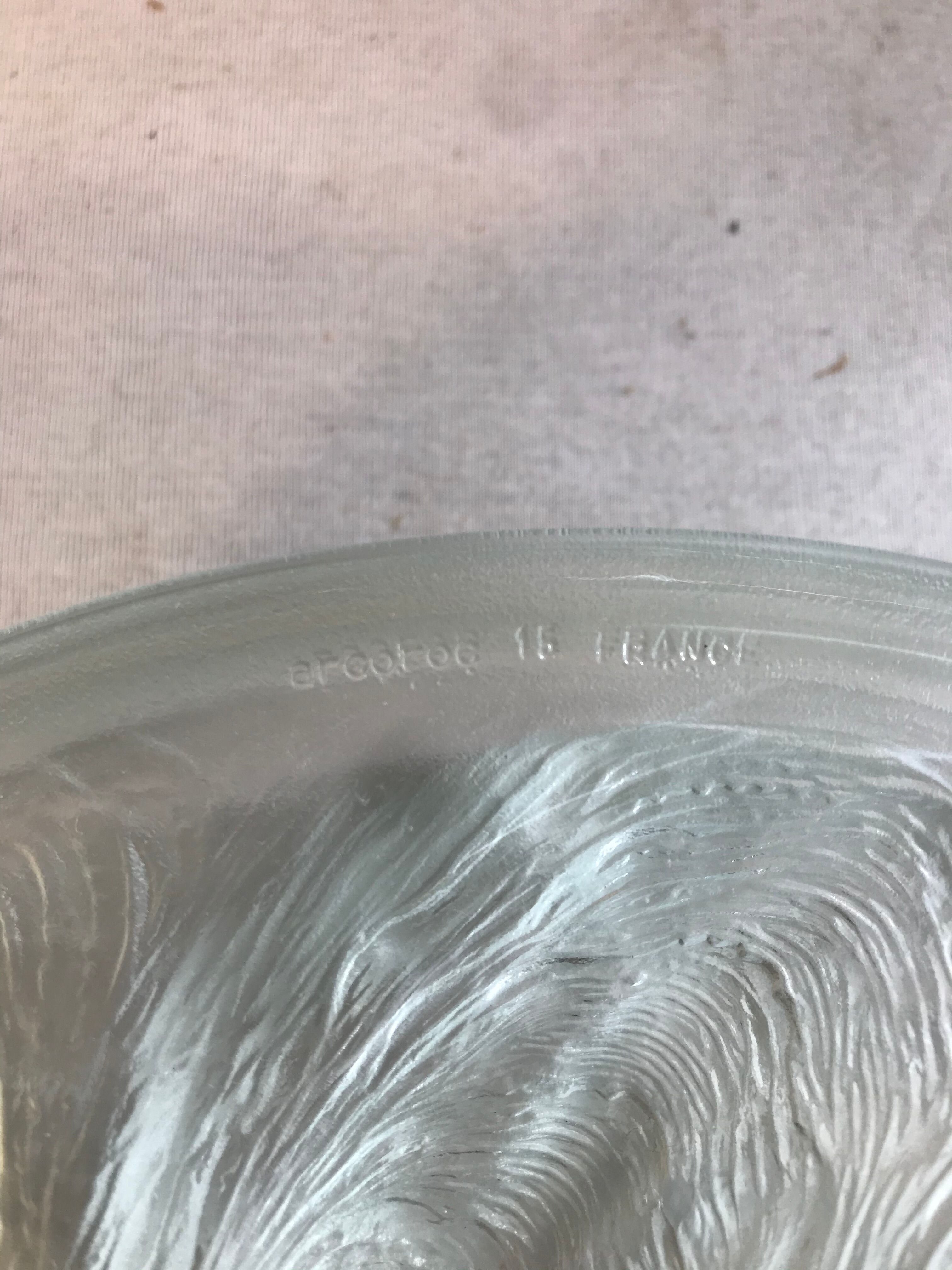 Series 6 old oyster plates Arcoroc moulded glass - vintage box