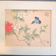 Ancient Chinese painting - Butterfly and flowers