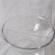 Hyacinth vase or glass hydroponic vase