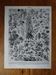 Lithographie originale sur les fleurs