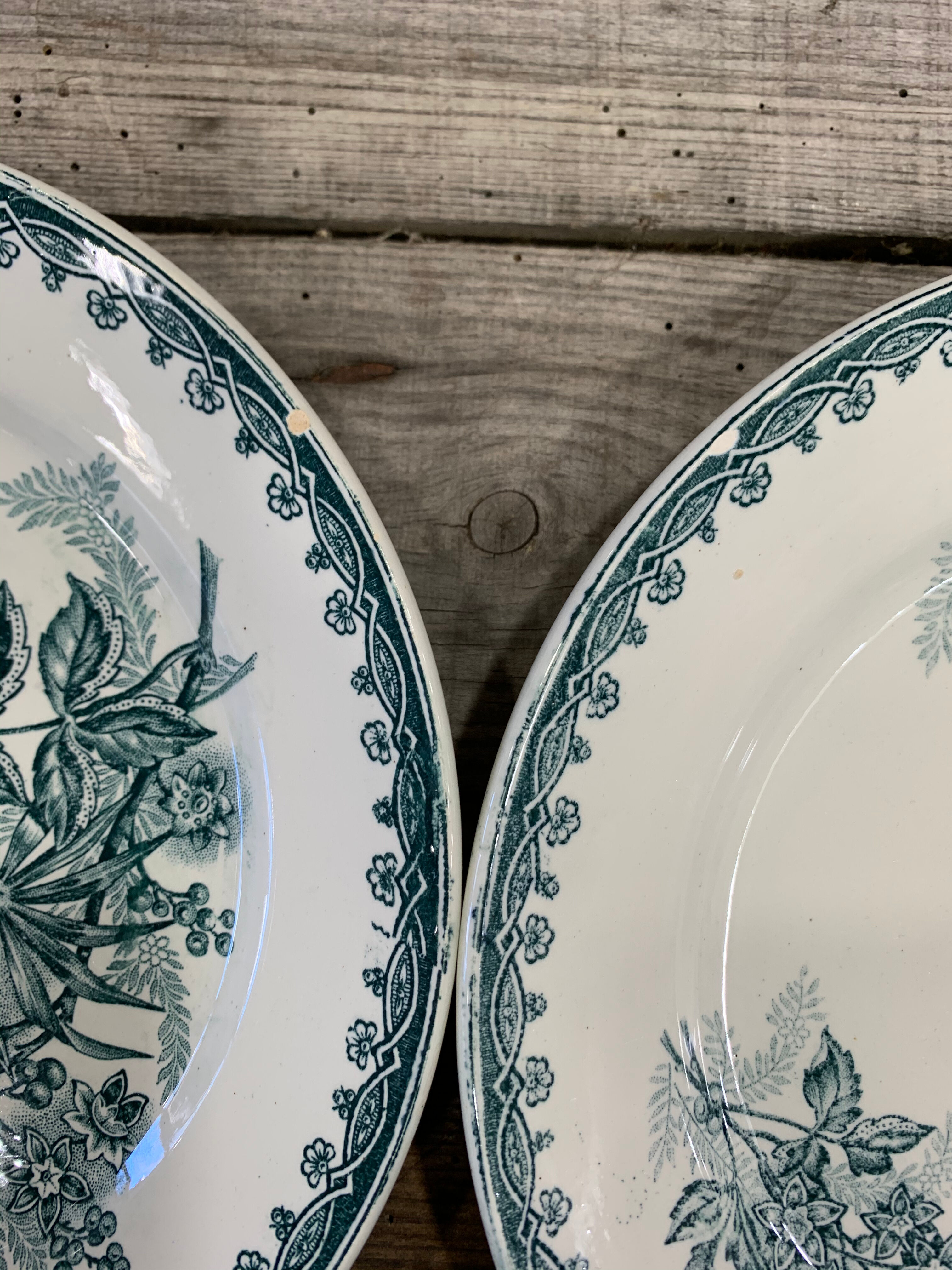 6 vintage plates