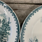 6 vintage plates