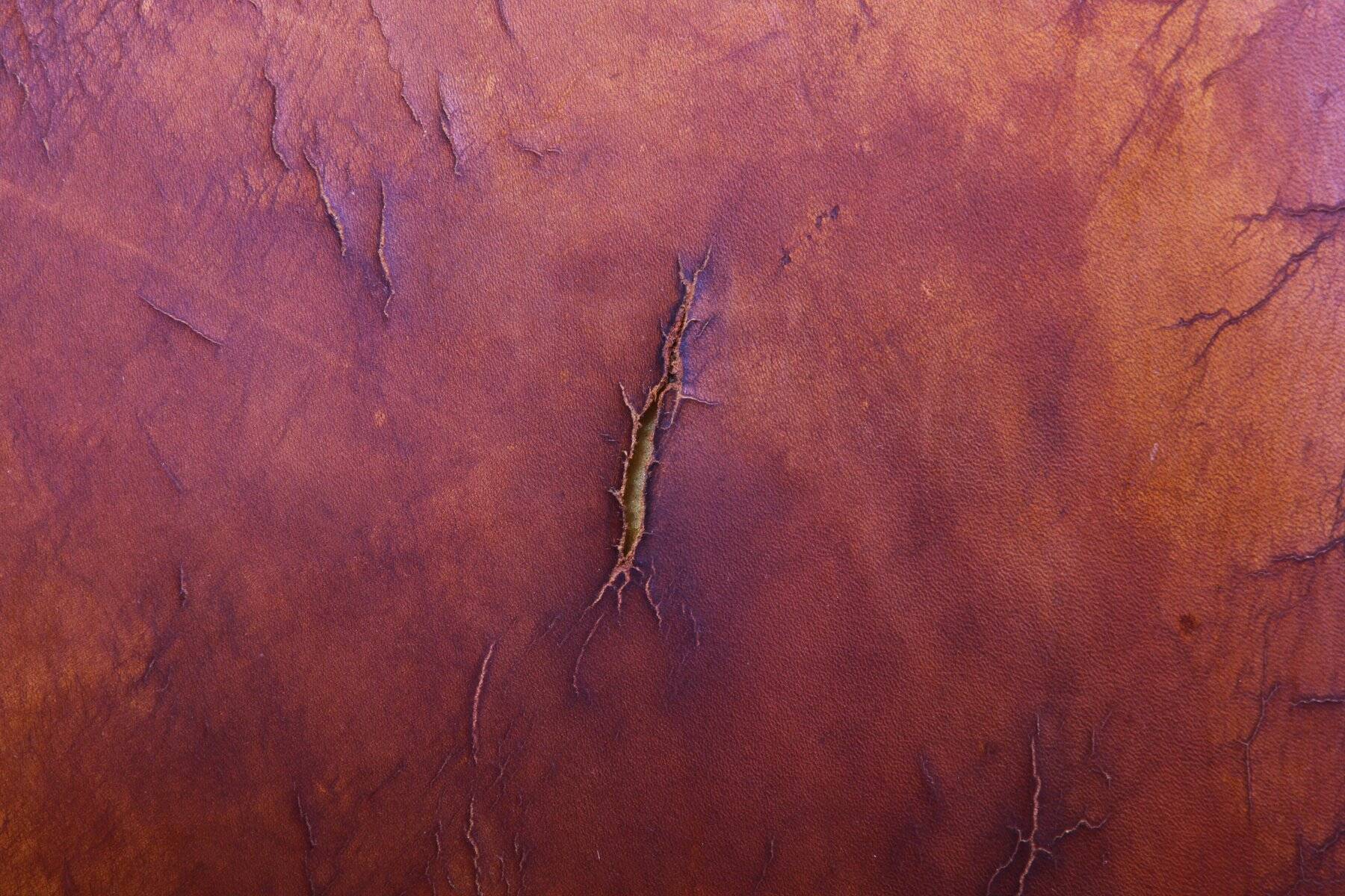 Set of vintage club chairs in leather, 1920s
