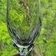 10 crystal champagne flutes 24% Cristallerie Kaspar Lemberg Lorraine vintage