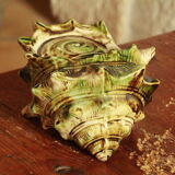 Ancient ceramic shell