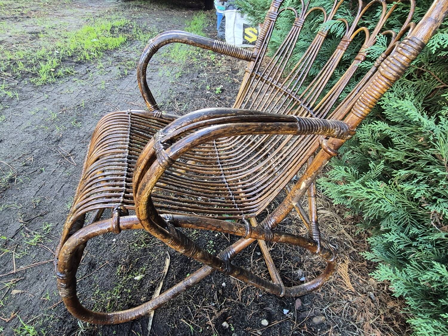 Paire de sieges en rotin annee 1950