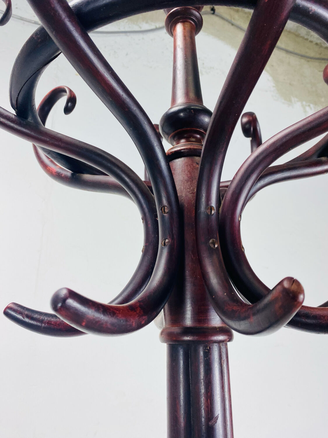 Parrot coat rack Thonet