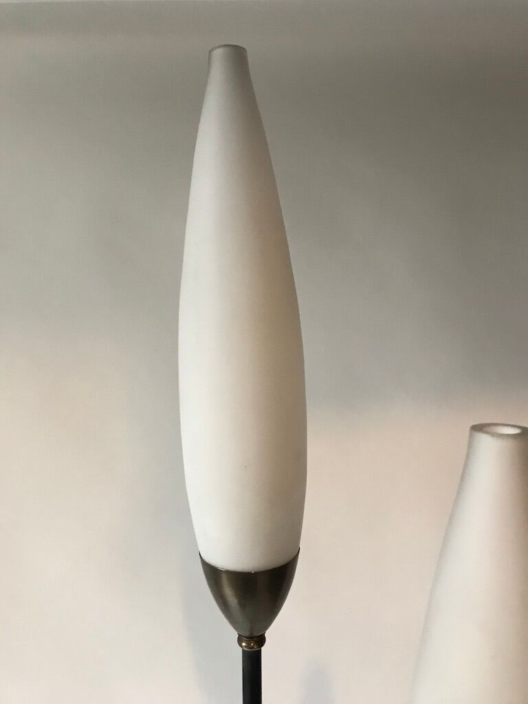 Floor lamp house lunel france 1950