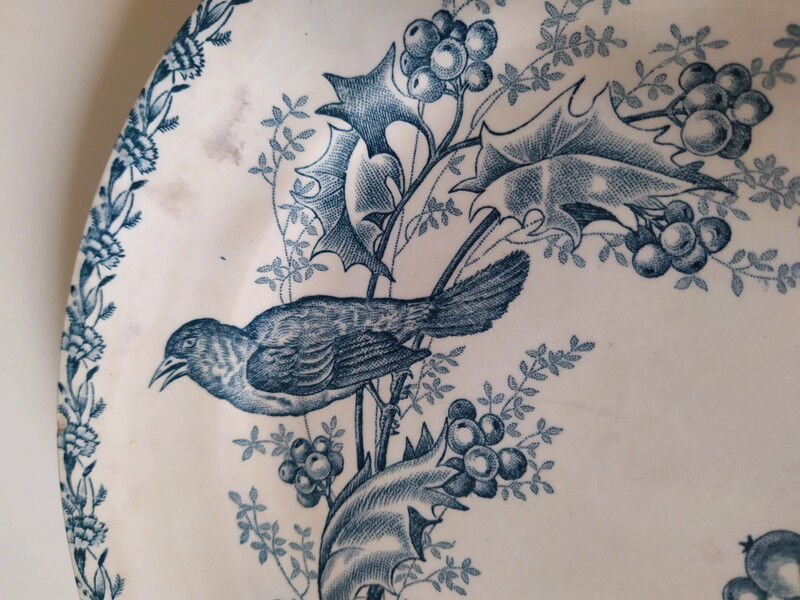 Iron Land blackbird plate
