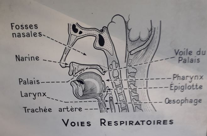 School poster science