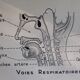 School poster science