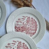 Vintage pink/red dinner plates