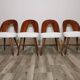 Dining Chairs by Antonin Suman, 1960s, Set of 4