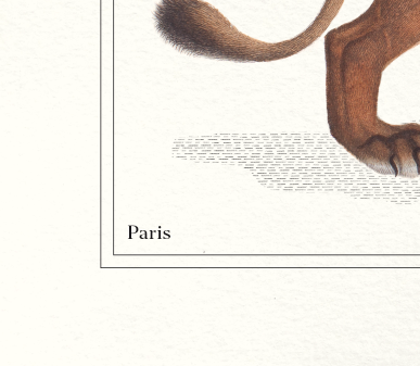 Chimera lithography engraving animal - the alpalion
