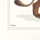 Chimera lithography engraving animal - the alpalion
