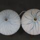 1960s pair of table lamps by uluv , czechoslovakia
