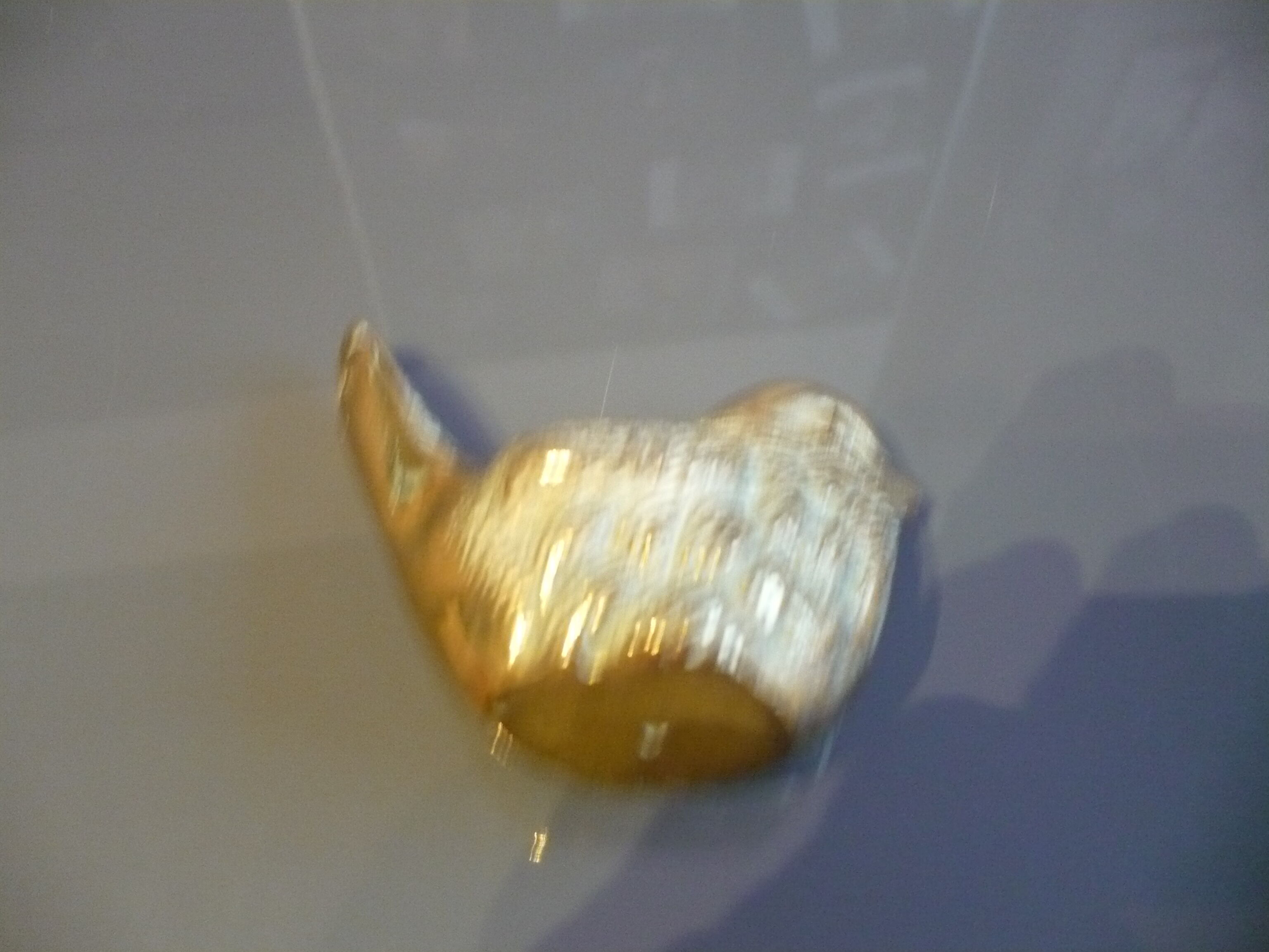 Brass sparrow