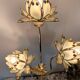 Lampe lotus 1980