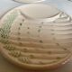 Six antique asparagus plates